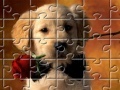 Joc Puzzles Little Puppy