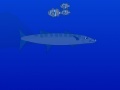 Joc Barracuda attack