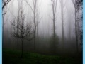 Joc Morning mist jigsaw