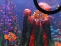 Joc Finding Nemo hide and seek