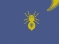 Joc C spider