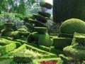 Joc Hidden Target-Garden
