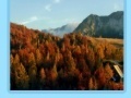 Joc Slovenia jigsaw