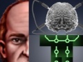 Joc Berts Brain