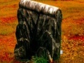 Joc Fall graveyard escape