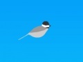 Joc Trampoline chickadee
