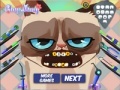 Joc Grumpy cat. Dental care