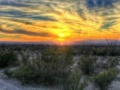 Joc Big Bend Desert Jigsaw