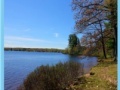 Joc Twin lakes state park jigsaw