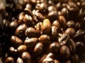 Joc Coffee beans slider