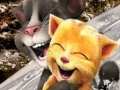 Joc Talking Tom and Ginger Sledging