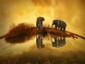 Joc Thailand Elephant Slider