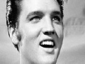 Joc Elvis Presley Memory