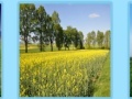 Joc Spring Jigsaw 2