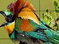 Joc Two Amazing Bird Puzzle
