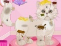 Joc Persian cat princess spa salon