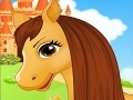 Joc Belle's Caring Horse