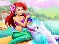 Joc Ariel Dolphin Wash