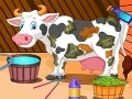 Joc Holstein Cow Care