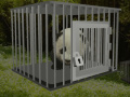 Joc Baby Panda Escape 