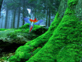 Joc Birds Forest Escape