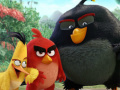 Joc The Angry Birds Movie Online
