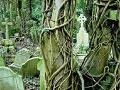 Joc Highgate Cemetery Escape