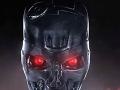 Joc Terminator Genisys Hidden Spots