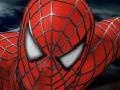 Joc Spider-man 3: Rescue Mary Jane 