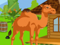 Joc Camel Calf Rescue