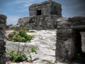 Joc Mystery of Mayan Stone Escape