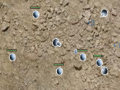 Joc Area51 Tower Defense