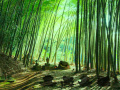 Joc Bamboo Forest Monkey Escape
