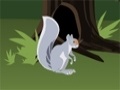 Joc Squirrel