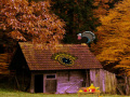Joc Mysterious Turkey Forest Escape 