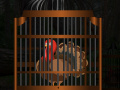 Joc Thanksgiving Turkey Cage Escape