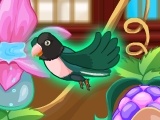 Joc My Sweet Bird