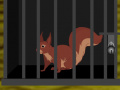 Joc Squirrel Cage Escape