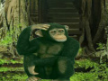 Joc Chimpanzee Forest Escape
