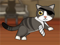 Joc Pirate Cat With Broken Leg