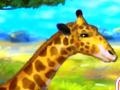 Joc Giraffe Zoo