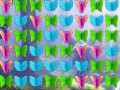 Joc Butterfly Collector