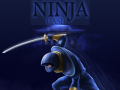 Joc Ninja Dash