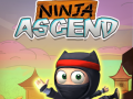 Joc Ninja Ascend