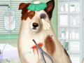 Joc Doctor For Dog With a Blog