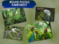 Joc Jigsaw Puzzle Rain Forest 