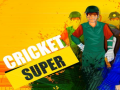 Joc Super Cricket      