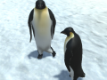 Joc The littlest penguin
