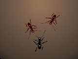Joc Ants Arena