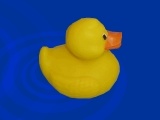 Joc Duck